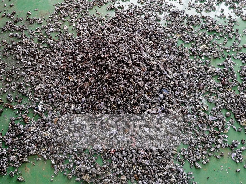 16850824819107.jpg 6050-10.jpg